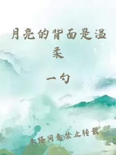 月亮的背面是温柔